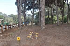 punto-equilibrio-gimnasio-al-aire-libre-en-madera-de-pino-02